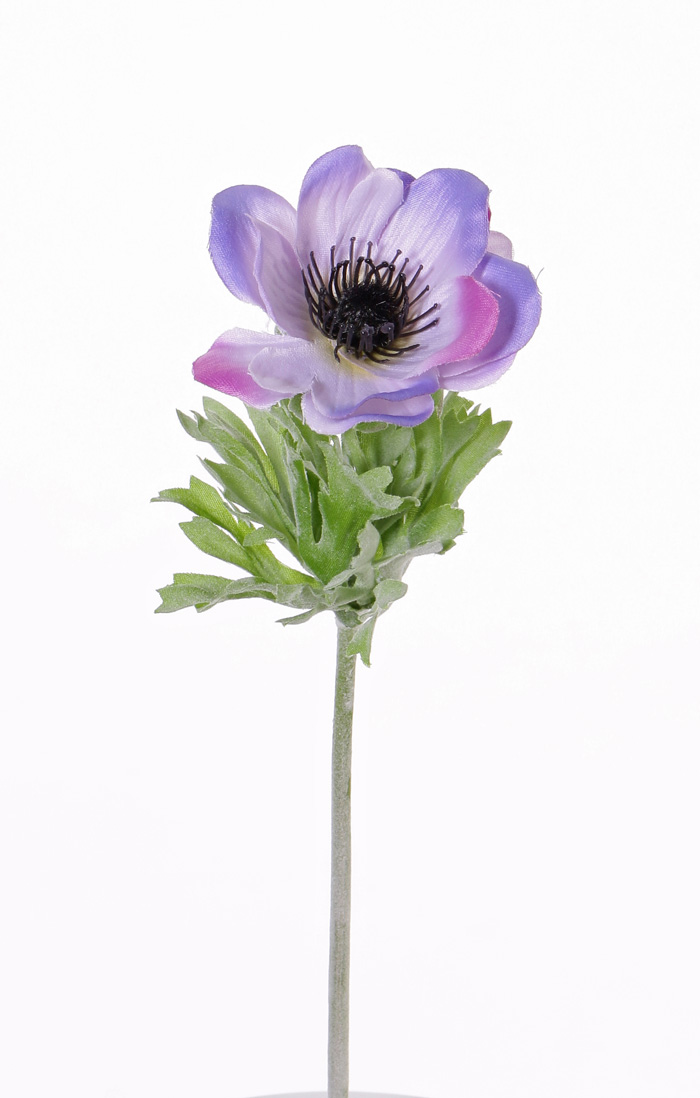 Fleurs Artificielles - fleurs en soie Top Art Int. | Detailansicht | BASICS  (most natural) | Anemone, O 7cm, avec 6 feuilles, 32cm