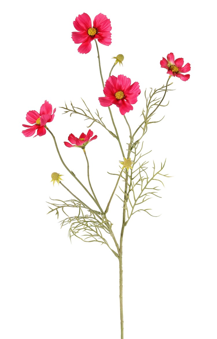 Fleurs Artificielles - fleurs en soie Top Art Int. | Detailansicht |  Bientot disponible | Cosmea (Cosmos bipinnatus) avec 5 fleurs (3x O 7 cm,  2x 5 cm), 3 boutons & 7 touffes de feuilles, 72 cm