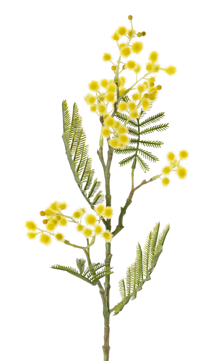 Flores y plantas artificiales mayorista - Top Art Int. | Detailansicht |  Ramas de flor | Mimosa (Acacia dealbata) con 5 flores, 11 hojas, 65 cm