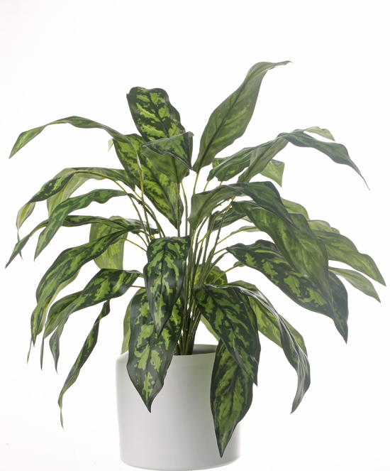 Artificial Flowers And Plants Wholesale Top Art Int Detailansicht Greenery Aglaonema Chinese Evergreens Silver King Bush With 36 Lvs Without Pot 71cm