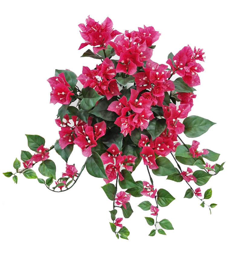 Kunstbloemen kunstplanten groothandel - Top Art | Detailansicht | Bloeiende planten | Bougainvillea spectabilis hangplant, 90 bloemen & 97 blad, O 50 cm