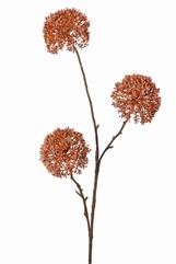Alliumtak 'Warm Fall' 3x vertakt met 3 bloemen (9 x 6cm), 80 cm