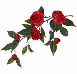 Camellia flower branch (Japanese rose) with 6 flowers (2 XL/ 1 M/ 3 S) and 21 leaves, 76 cm
