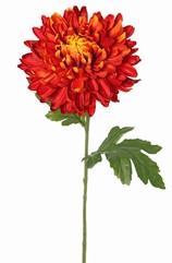 Chrysanthemum, 1 fleur Ø 14 cm, h. 5 cm, 2 feuilles (Polyester), 65 cm