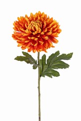 Chrysanthemum, 1 fleur Ø 14 cm, h. 5 cm, 2 feuilles (Polyester), 65 cm - offre spéciale