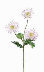 Chrysanthemum "spider",3 fleurs, 4 feuilles, 73 cm - offre spéciale