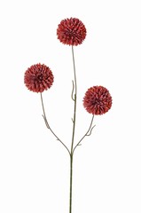 Bolchrysant mini 3x vertakt met 3 bloemen, &Oslash; 6 cm & 5 plastic blaadjes, 65 cm