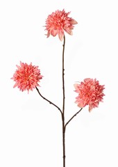 Chrysant 'Warm Fall' 3x vertakt met 3 polyester bloemen, &oslash;8 cm, 5 plastic blaadjes, 76 cm