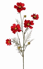 Cosmea (Cosmos bipinnatus) met 5 bloemen (3x &Oslash; 7 cm, 2x 5 cm), 3 knoppen & 7 bladtoeven, 72 cm