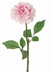 Dahlia, 1 fleur en polyester Ø 11 cm, 2 jeux de feuilles (6 pièces) 58 cm