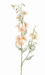 Delphinium, 12 flores, 7 capullos (3cm) & 7 hojas, 96 cm