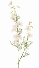 Delphinium, 12 flores, 7 capullos (3cm) & 7 hojas, 96 cm