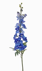 Delphinium (Ridderspoor) 'GardenArt', 18 bloem, 7 plastic knop, 3 blad, 91cm - offre spéciale