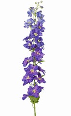 Delphinium (pied d'alouette) 'XL' avec 26 fleurs en polyester, 6 feuilles et 10 bourgeons, 127 cm