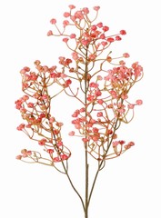 Branche de gypsophile 'Mira' 3x ramifiée, article en plastique, 65 cm