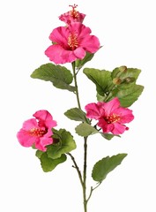 Hibisco (rosa china) 2x ramificado con 4 flores, 6 capullos de plástico y 13 hojas, 80 cm