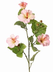Hibisco (rosa china) 2x ramificado con 4 flores, 6 capullos de plástico y 13 hojas, 80 cm