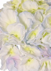 130743LB-1