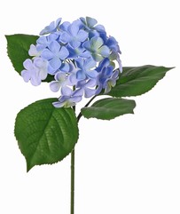Hydrangea with 1 plastic flower (&oslash; 14 cm) & 4 plastic leaves, 58 cm UV safe