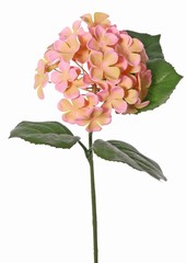 Hydrangea with 1 plastic flower (&oslash; 14 cm) & 4 plastic leaves, 58 cm UV safe