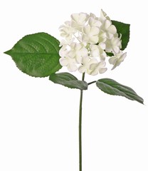 Hydrangea with 1 plastic flower (&oslash; 14 cm) & 4 plastic leaves, 58 cm UV safe