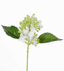 Hortensia (Hydrangea) "fresh bloom" x15flrs, 2lvs & soft pvc buds, 33cm
