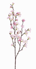 Sakura branche fleur (Prunus jamasakura), 36 fleurs,  8 boutons, 76cm