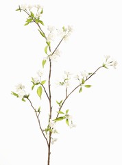 Birnenblütenzweig (Pyrus) 3-fach verzweigt mit 33 Blüten, 9 Blütenknospen & 65 Blättern, 115 cm