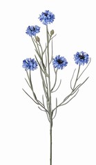 Korenbloem (Centaurea cyanus) met 5 bloemen (&Oslash; 4 cm) & 2 plastic knopjes, 29 plastic blaadjes, 66 cm