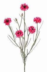 Korenbloem (Centaurea cyanus) met 5 bloemen (&Oslash; 4 cm) & 2 plastic knopjes, 29 plastic blaadjes, 66 cm