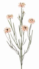 Korenbloem (Centaurea cyanus) met 5 bloemen (&Oslash; 4 cm) & 2 plastic knopjes, 29 plastic blaadjes, 66 cm