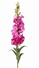 Leeuwenbek (Antirrhinum) XL met 17 polyester bloemen, 16 geflockte knoppen & 8 bladeren, 93 cm