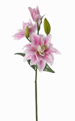 Fleurs de lys, "Casablanca", 3 fleurs, 2 boutons, 4 feuilles,  81cm