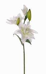 Fleurs de lys, "Casablanca", 3 fleurs, 2 boutons, 4 feuilles,  81cm
