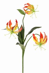 Lily gloriosa (lys grimpant) 'mini', avec 3 fleurs en polyester et 4 feuilles, 50 cm