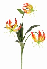 Lirio gloriosa (lirio trepador) 'mini', con 3 flores de poliéster y 4 hojas, 50 cm