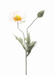 Mohnblume mit Knospe, 40cm, Ø 9cm