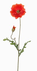 Mohnblume 'Shiny',  (3 Lagen, Ø 12cm), 1 Knospe, beflockt, 2 Blätter, 65cm 