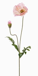 Mohnblume 'Shiny',  (3 Lagen, Ø 12cm), 1 Knospe, beflockt, 2 Blätter, 65cm 