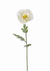 Mohnblume (Klatschmohn) double, "satin", 3 Blätter, Ø 12cm, beflockt, 74cm