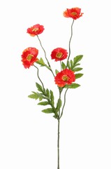 Mohnblume, 5 Blüten, (Ø 5cm), 4 Blätter, 63cm