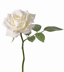 Rose de luxe "Fleuri", Ø 12cm, 5 leaves, 30cm