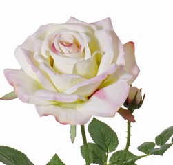 Rose de luxe "Fleuri" x1flr, Ø 12cm, x1bud, x20lvs, 70cm