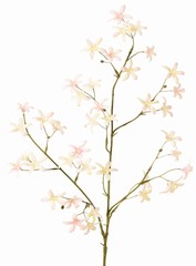 Saxifrage (saxifraga) à 41 fleurs en polyester, 73 cm