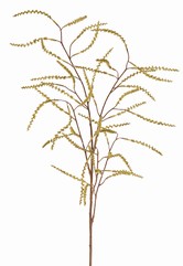 Tamarisken (Tamarix) Knospenzweig, 5 Zweige mit 43 Knospenbündeln, Vollplastik, 100 cm