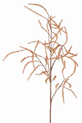 Tamarisken (Tamarix) Knospenzweig, 5 Zweige mit 43 Knospenbündeln, Vollplastik, 100 cm