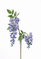 Glycines "De Luxe, 2 fleurs (30cm/15cm),  29 Feuilles, 105cm, Promotion