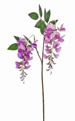Wisteria (blauwe regen) met 2 clusters bloemen (19x7 cm) & 3 sets bladeren, 70 cm - UV bestendig
