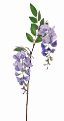 Wisteria (blauwe regen) met 2 clusters bloemen (19x7 cm) & 3 sets bladeren, 70 cm - UV bestendig
