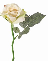 rose alice de luxe court 30cm